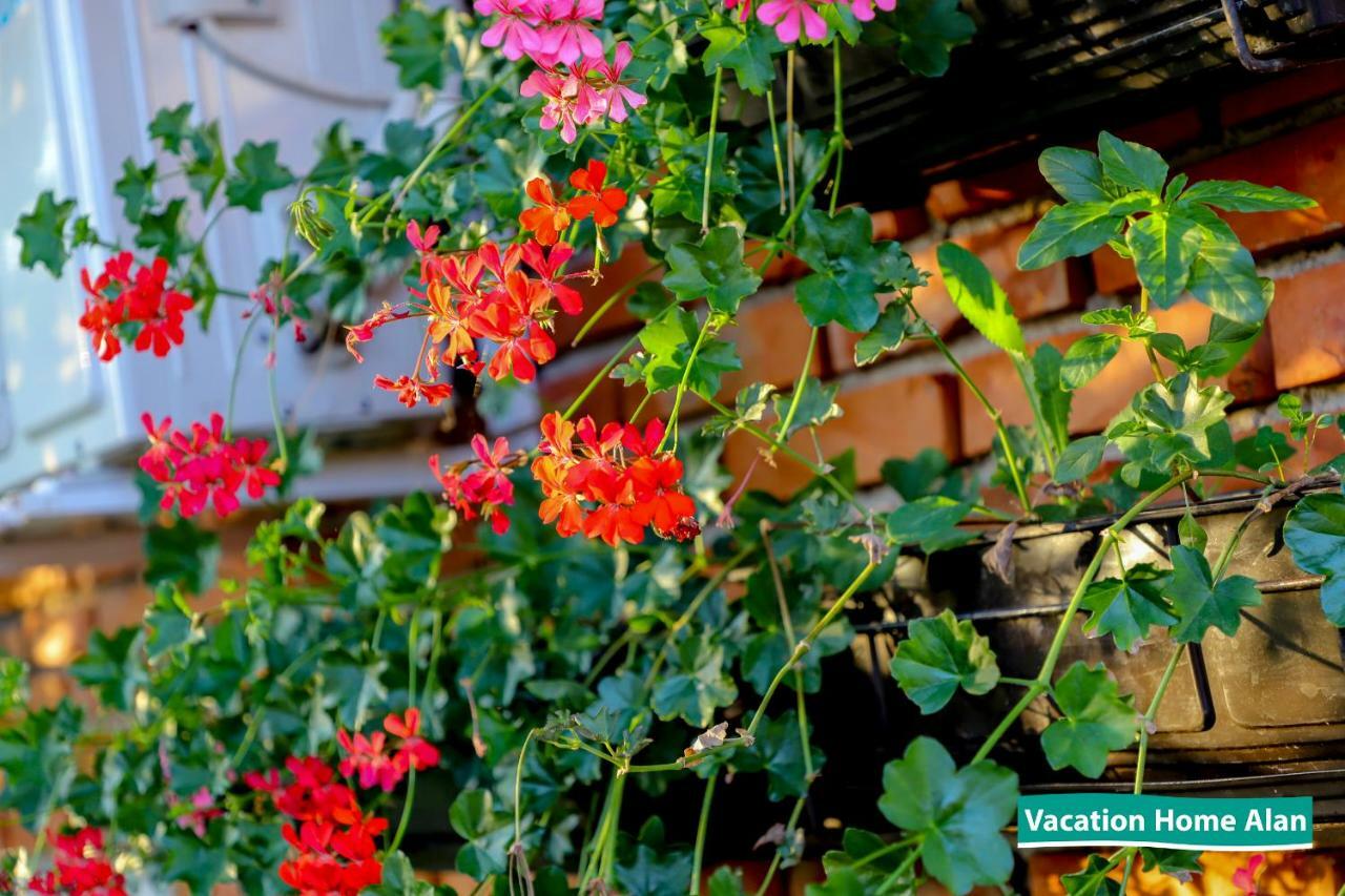 Vacation Home Alan 2 Kulen Vakuf Exterior foto